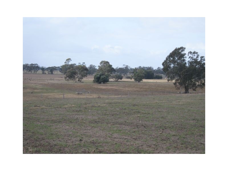 . Champness Road, Mundulla SA 5270