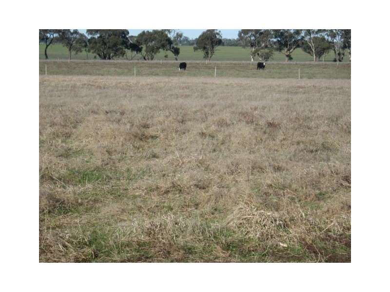 . Punjum Road, Mundulla SA 5270