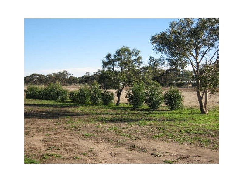 . Punjum Road, Mundulla SA 5270