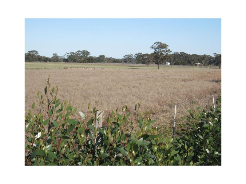 . Punjum Road, Mundulla SA 5270