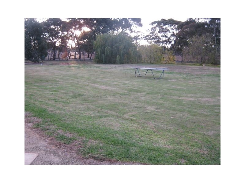 261 Naracoorte Road, Bordertown SA 5268