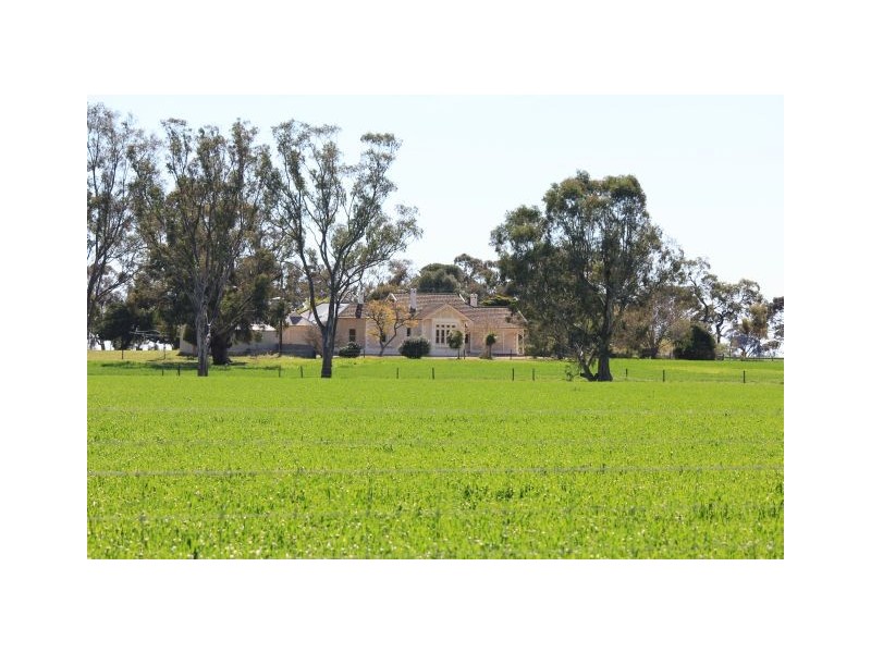 . Bordertown – Frances Road, Bordertown SA 5268