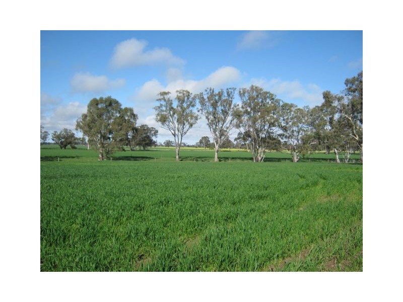 . Bordertown – Frances Road, Bordertown SA 5268