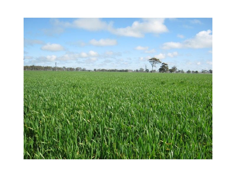 . Bordertown – Frances Road, Bordertown SA 5268