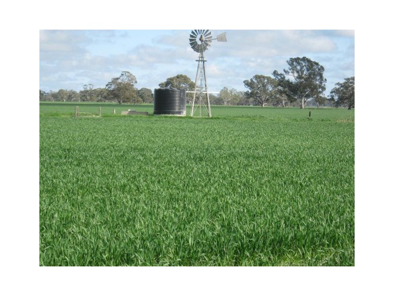 . Bordertown – Frances Road, Bordertown SA 5268