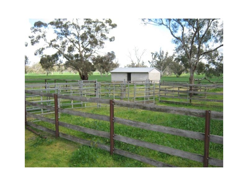 . Bordertown – Frances Road, Bordertown SA 5268