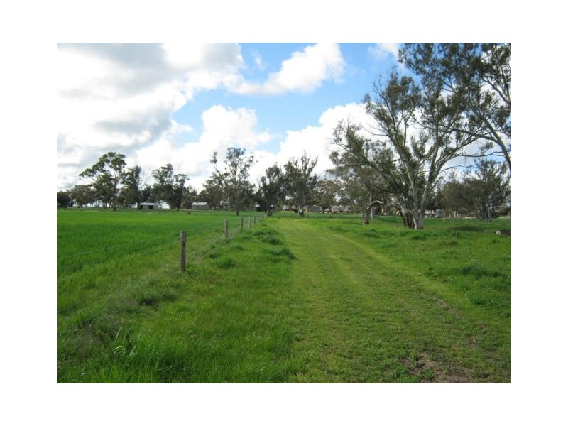 . Bordertown – Frances Road, Bordertown SA 5268