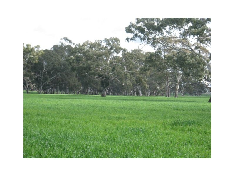 . Bordertown – Frances Road, Bordertown SA 5268