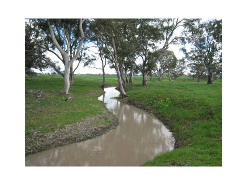 . Bordertown – Frances Road, Bordertown SA 5268