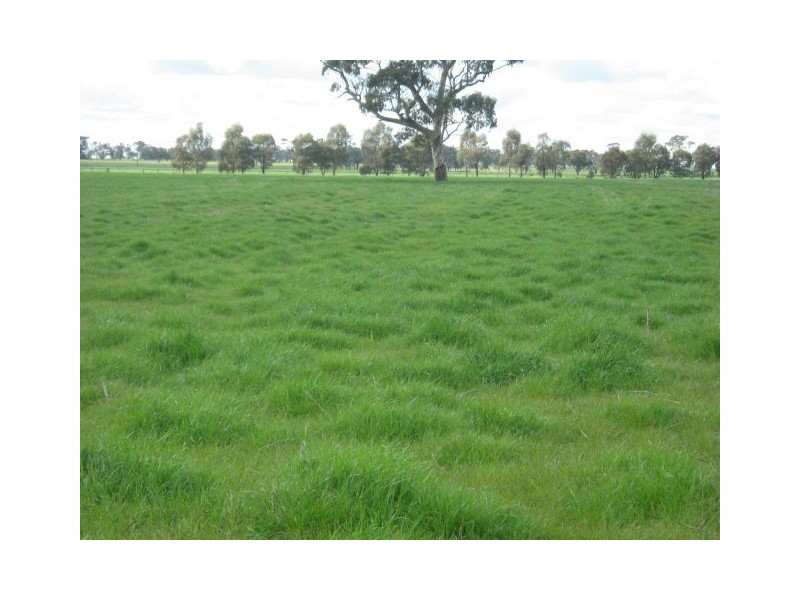 . Bordertown – Frances Road, Bordertown SA 5268