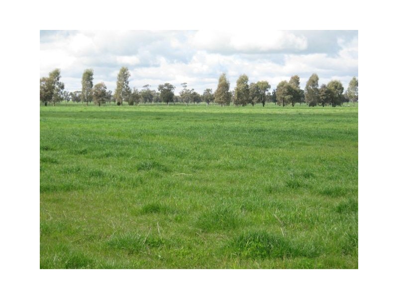 . Bordertown – Frances Road, Bordertown SA 5268