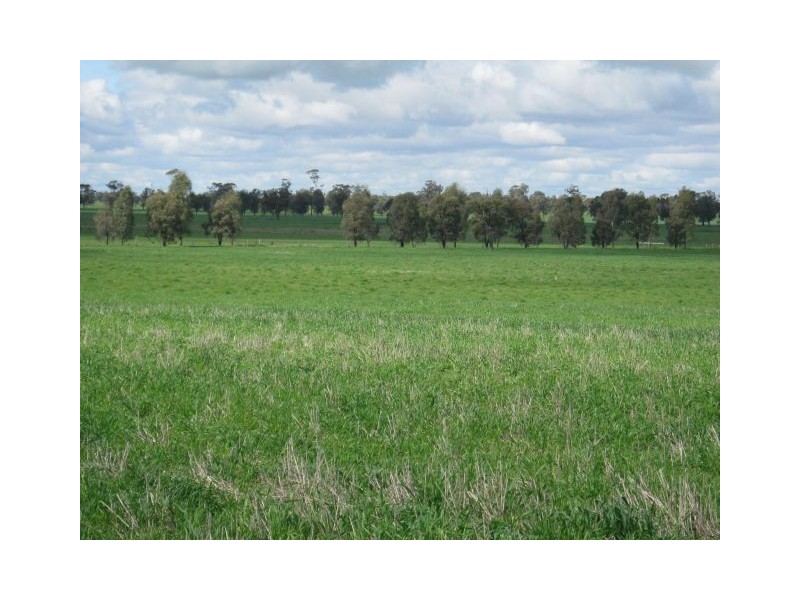 . Bordertown – Frances Road, Bordertown SA 5268