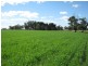 . Pinnaroo Road (Meramie), Bordertown SA 5268