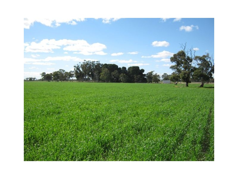 . Pinnaroo Road (Meramie), Bordertown SA 5268