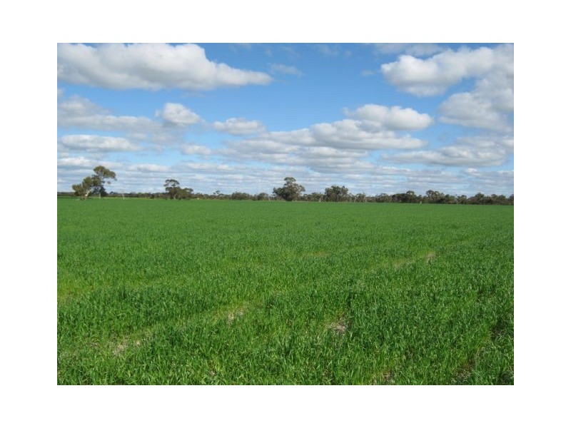 . Pinnaroo Road (Meramie), Bordertown SA 5268