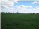 . Pinnaroo Road (Meramie), Bordertown SA 5268
