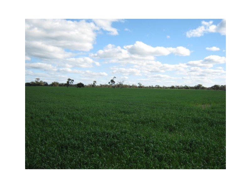 . Pinnaroo Road (Meramie), Bordertown SA 5268