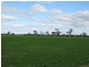 . Pinnaroo Road (Meramie), Bordertown SA 5268