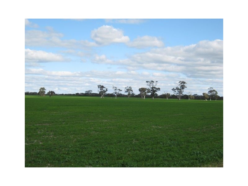 . Pinnaroo Road (Meramie), Bordertown SA 5268