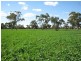 . Pinnaroo Road (Meramie), Bordertown SA 5268