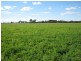. Pinnaroo Road (Meramie), Bordertown SA 5268