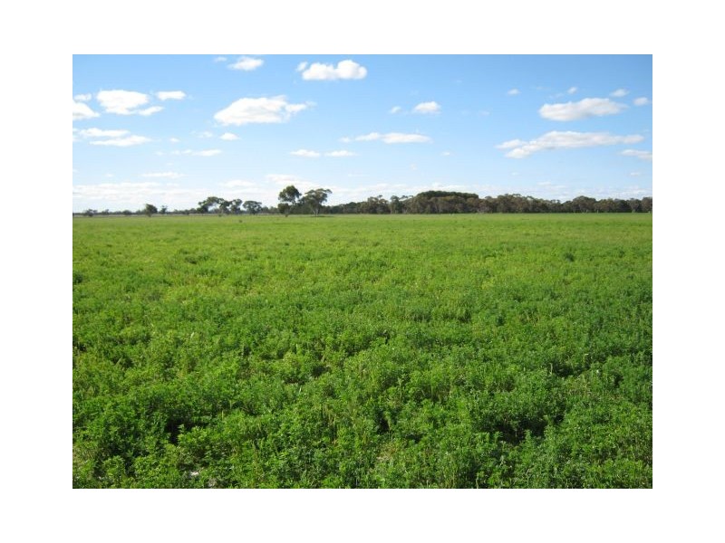. Pinnaroo Road (Meramie), Bordertown SA 5268