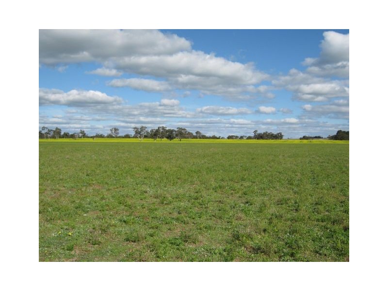 . Pinnaroo Road (Meramie), Bordertown SA 5268