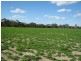 . Pinnaroo Road (Meramie), Bordertown SA 5268