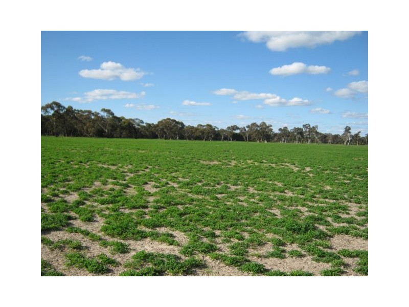. Pinnaroo Road (Meramie), Bordertown SA 5268