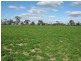. Pinnaroo Road (Meramie), Bordertown SA 5268