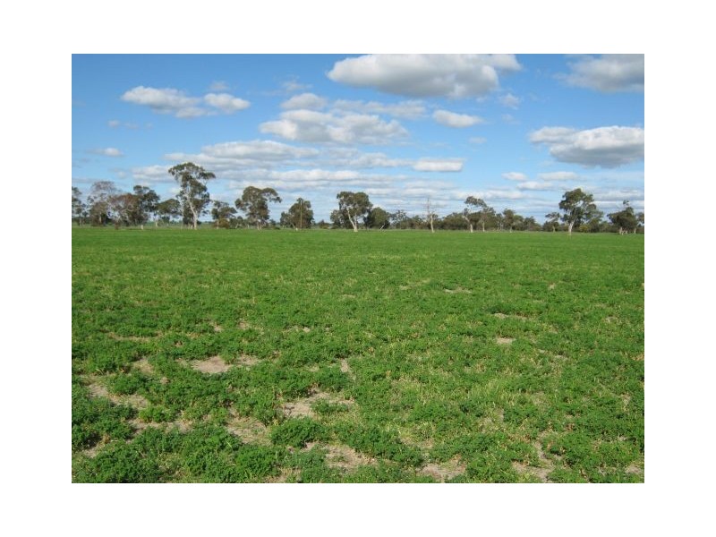 . Pinnaroo Road (Meramie), Bordertown SA 5268