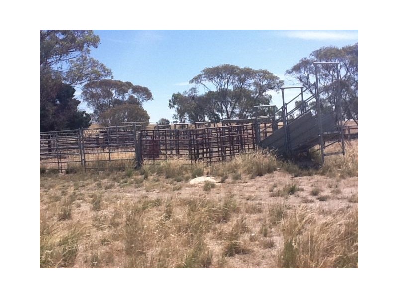 4703 Emu Flat Road, Bordertown SA 5268