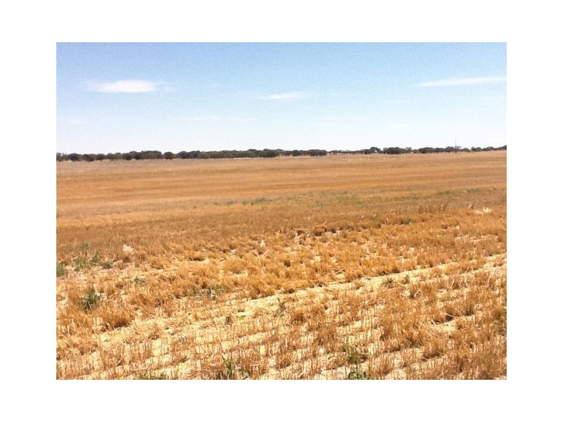 4703 Emu Flat Road, Bordertown SA 5268