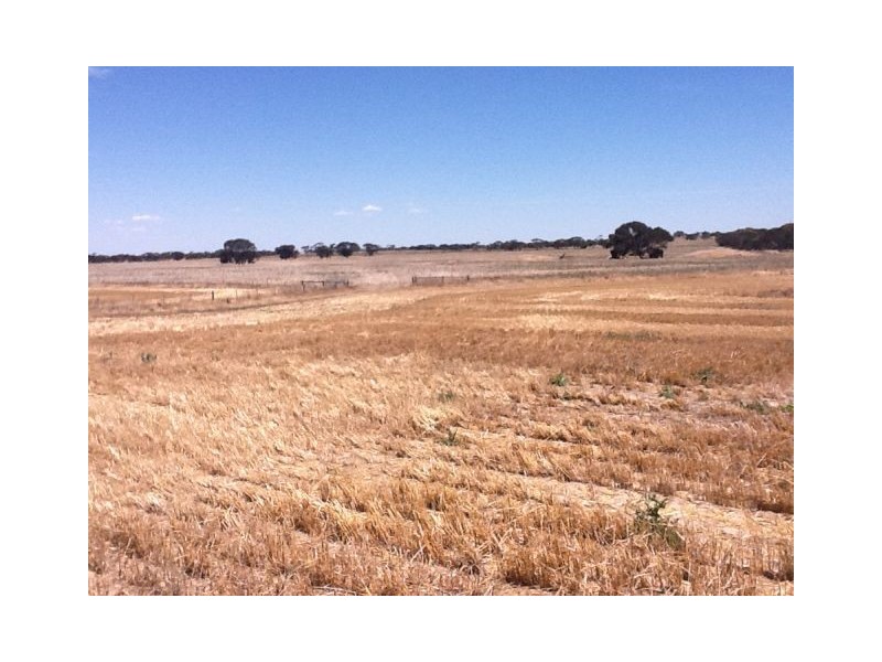 4703 Emu Flat Road, Bordertown SA 5268