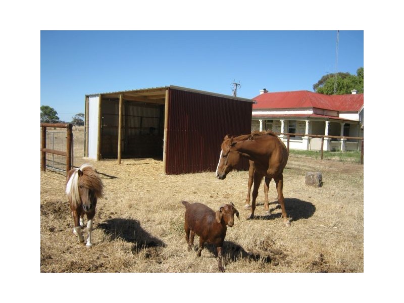 64B Taylor Road, Bordertown SA 5268