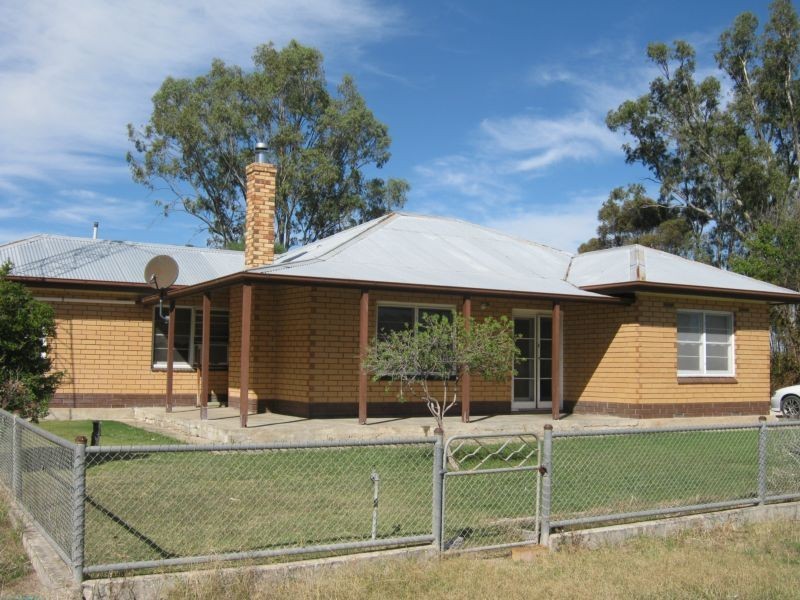 386 Hutchings Road, Bordertown SA 5268