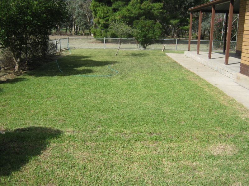 386 Hutchings Road, Bordertown SA 5268