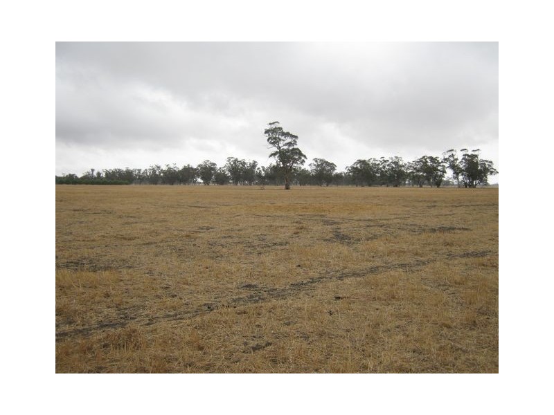 . Bordertown Frances Road, Bordertown SA 5268