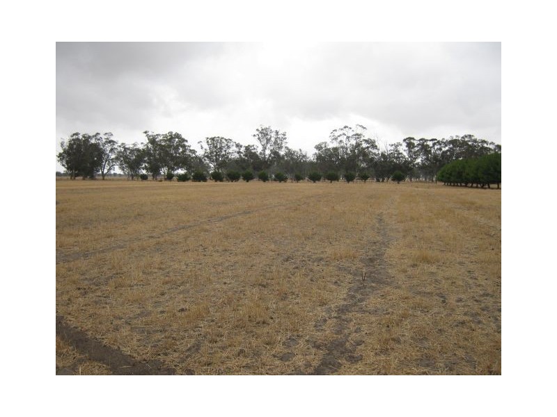 . Bordertown Frances Road, Bordertown SA 5268