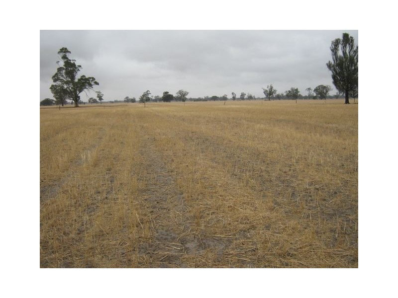 . Bordertown Frances Road, Bordertown SA 5268