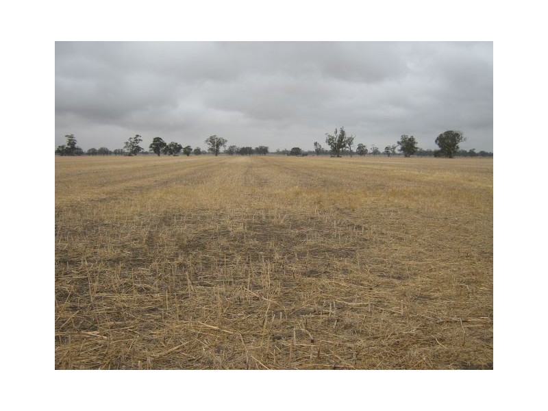 . Bordertown Frances Road, Bordertown SA 5268