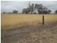 . Bordertown Frances Road, Bordertown SA 5268