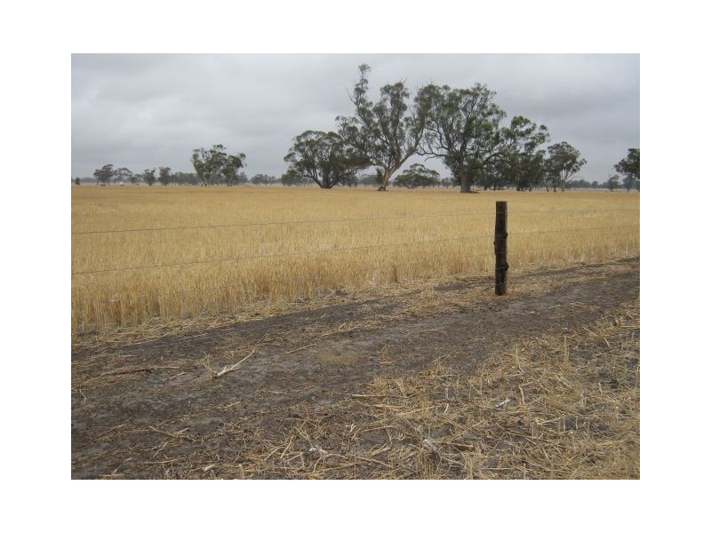 . Bordertown Frances Road, Bordertown SA 5268