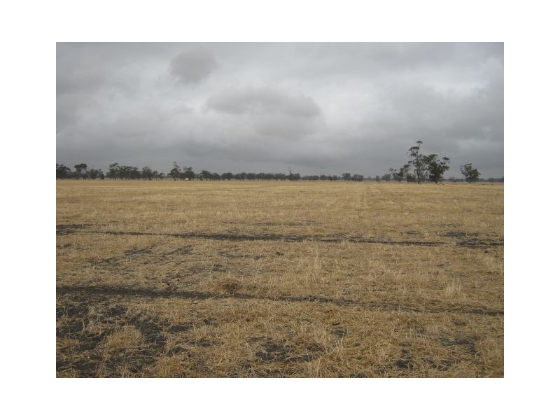 . Bordertown Frances Road, Bordertown SA 5268