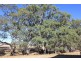 Lot 8 Golf Course Road, Bordertown SA 5268