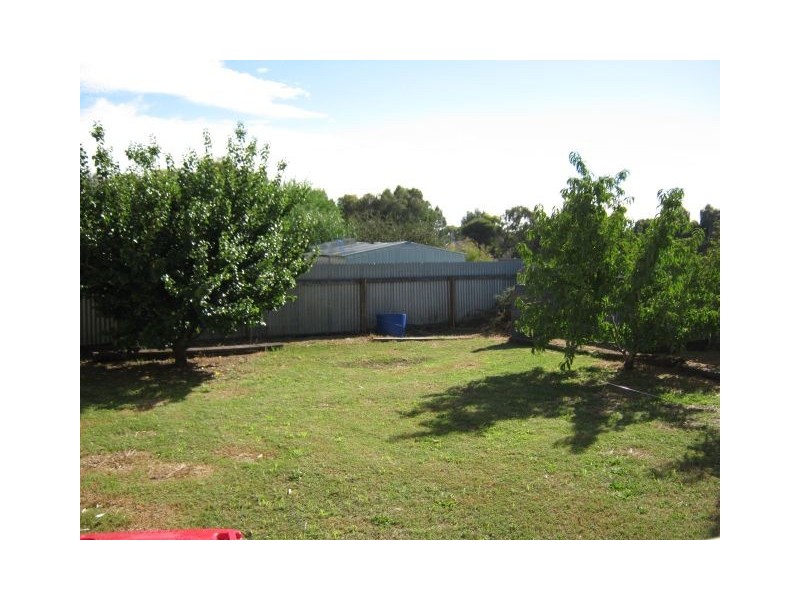 93 South Avenue, Bordertown SA 5268