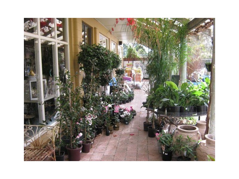 117 Park Terrace, Bordertown SA 5268