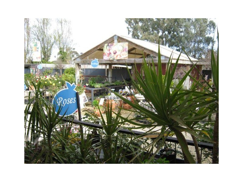 117 Park Terrace, Bordertown SA 5268