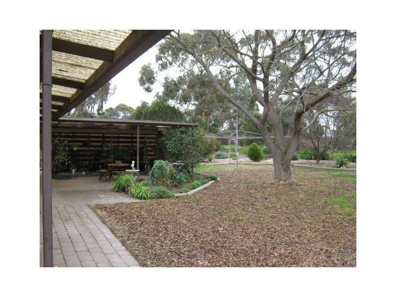 33 South Avenue, Bordertown SA 5268