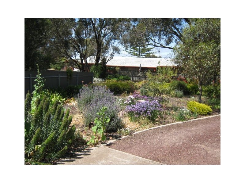 21 Hay Street, Bordertown SA 5268